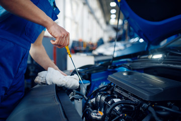 Worker checks the engine oil level, car service