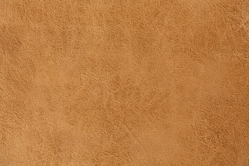 natural background and texture, animal skin close up