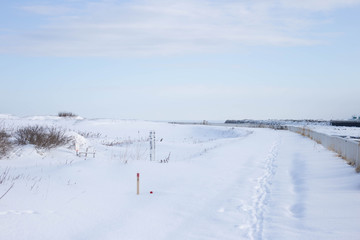 雪景色