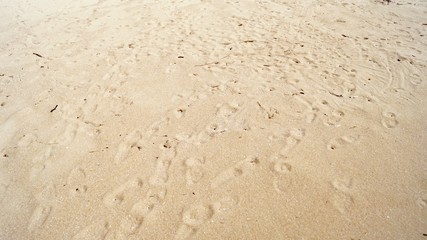 浜辺と足跡