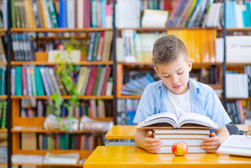 Boy sitting down on a chair reading a book against multi colored bookshelf in library. Education, Knowledge, Bookstore, Lecture.