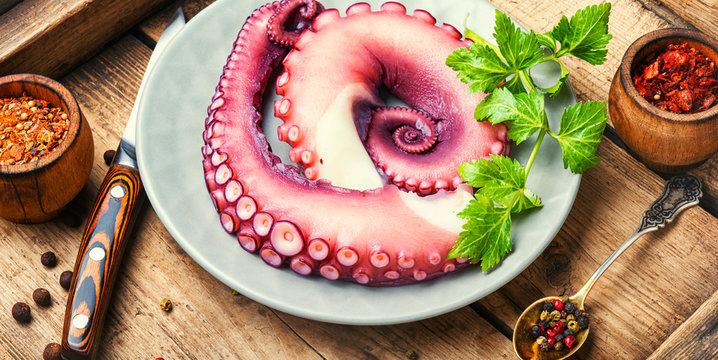 Raw octopus on wooden table