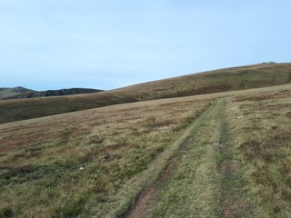 Obraz premium Driving on the grass carpet in the mountains