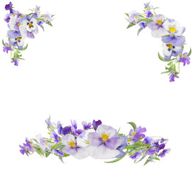 pansy light lilac flowers frame isolated on white