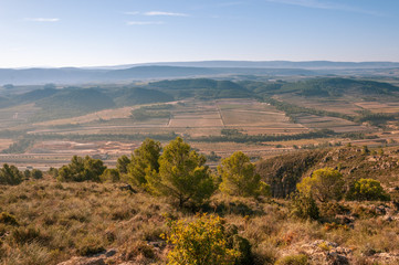 Interesting Mediterranean landscape at dawn in summer. Wild nature and crops on the horizon