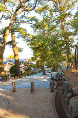 三保の松原の入り口付近