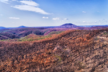 D BM Bushfires low hillside