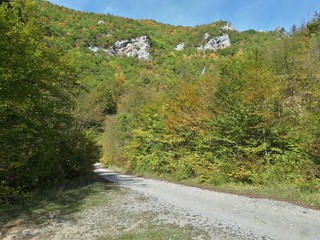 Rural road in the mountains