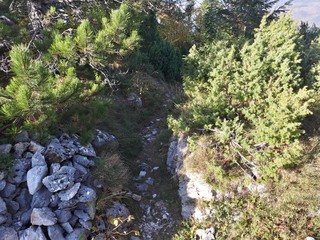 Old Austria-Hungary bunker from WW1	