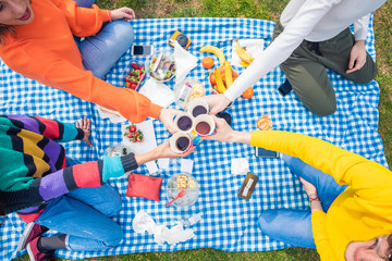 Group of friends multiethnic toasting having picnic outdoor