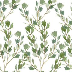 Watercolor seamless pattern greenery leaves and branches. Wild plants. Botanical garden for textile fabric and wrapping paper.