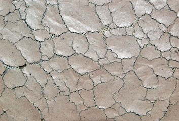Beige background made of old shabby cracked leather