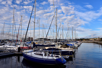 Fototapeta premium 江の島ヨットハーバーに係留するヨット