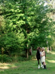 Fototapeta premium Woman and Horse