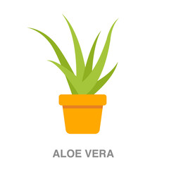 aloe vera flat icon on white transparent background. You can be used black ant icon for several purposes.	