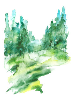 Summer  landscape, green forest, park. Silhouettes of trees and bushes. Linear curb. Mixed forest - oak, ash, maple, birch, pine, cedar, spruce. Watercolor paint splash. Scenery.Watercolor painting
