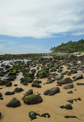 corais na mar&eacute; baixa de Natal, Rio Grande do Norte, Brasil