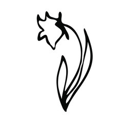 Single doodle flowers. fantasy flower bud in hand-drawn style. vector flower. element for design. Hipster grunge drawings.