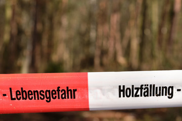 Close-up of a red and white  barrier tape that says Lebensgefahr - Holzf&auml;llung ( risk of death - tree felling ) in front of the trees of a forest. Seen near Nuremberg in Bavaria, Germany, in February