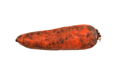 red carrots isolated on white background