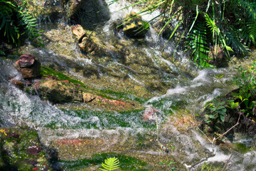 Morikami Museum and Japanese Gardens in Palm Beach County, Florida, United States