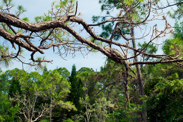 Morikami Museum and Japanese Gardens in Palm Beach County, Florida, United States