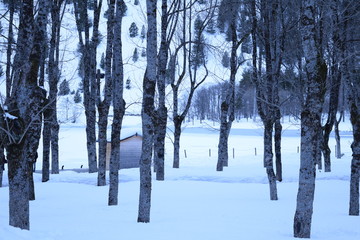 Winter and snow in Pyrenees Huesca Spain