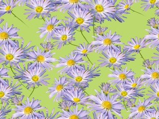 Fototapeta na wymiar Seamless floral pattern on a blue background.