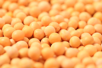 Soybean