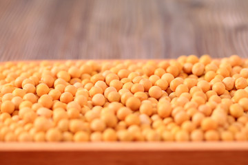 Soybean
