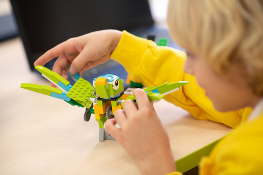Boy playing with buildable bird at desk