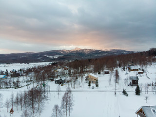 Winter morning landscape photo of snow covered fields and bare trees with the majestic Mount Yotei lit up by the morning sun in the background 