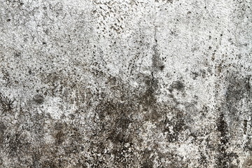 Cement texture and grunce background. Graphic resource for design. Copy space