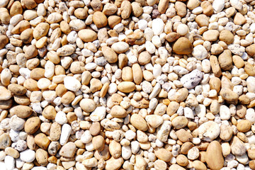 white stone background. nature pebble beach stone