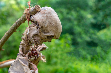 Latex creepy head impaled on a stake at a medieval festival