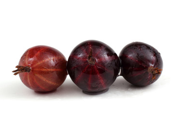 Black-violet gooseberry