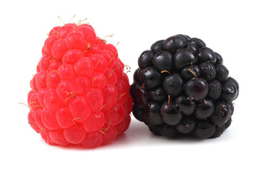 Blackberry and raspberry