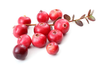 Cranberries and leaves