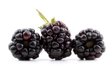 Three blackberries