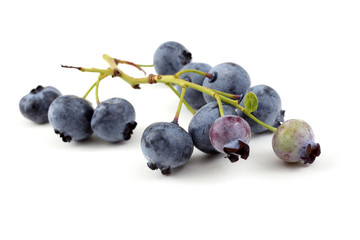 Cluster of blueberries