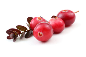 Cranberries and leaves