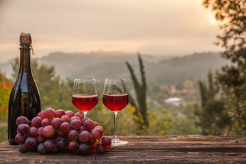 Wine Glasses And Bottle  In Vineyard At Sunset