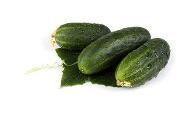 Cucumbers on leaf