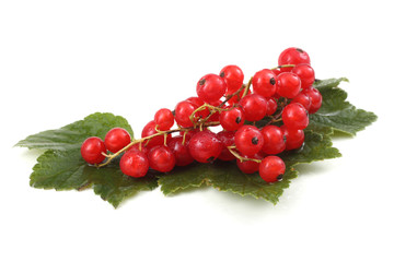 Red currant on leaves