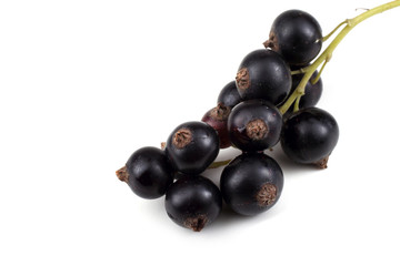 Cluster of black currant