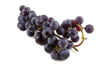 Black wine grape