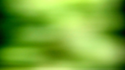 A Yellow Green Blurred Abstract Background