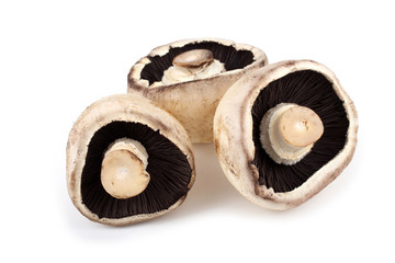 Champignon mushrooms