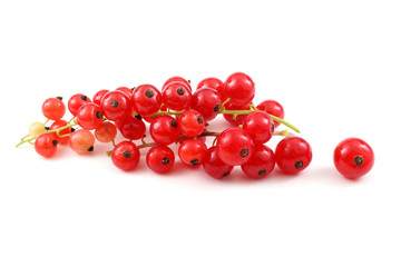 Red currant