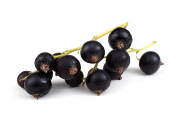 Cluster of black currant